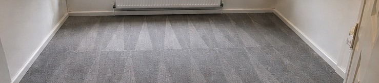 Carpet Cleaning — after
