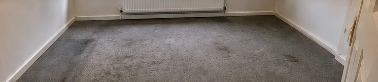 Carpet Cleaning — before
