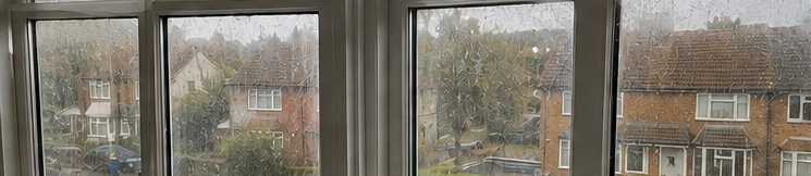 Window Cleaning — before